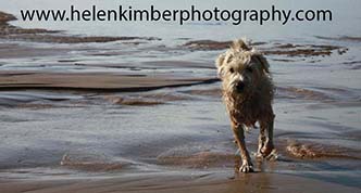 Helen Kimber - passionate about photographing dogs and their people as she meets them whilst out running or walking with her own two dogs.
